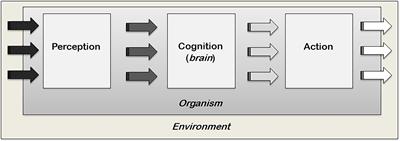 Ariadne’s thread and the extension of cognition: A common but overlooked phenomenon in nature?